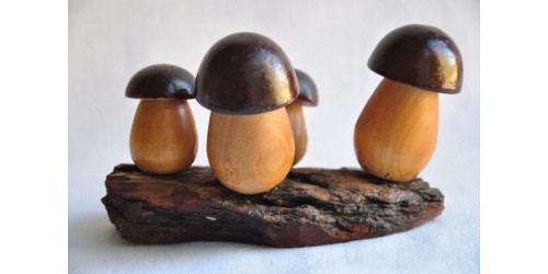 Champignons en bois sur support d'écorce