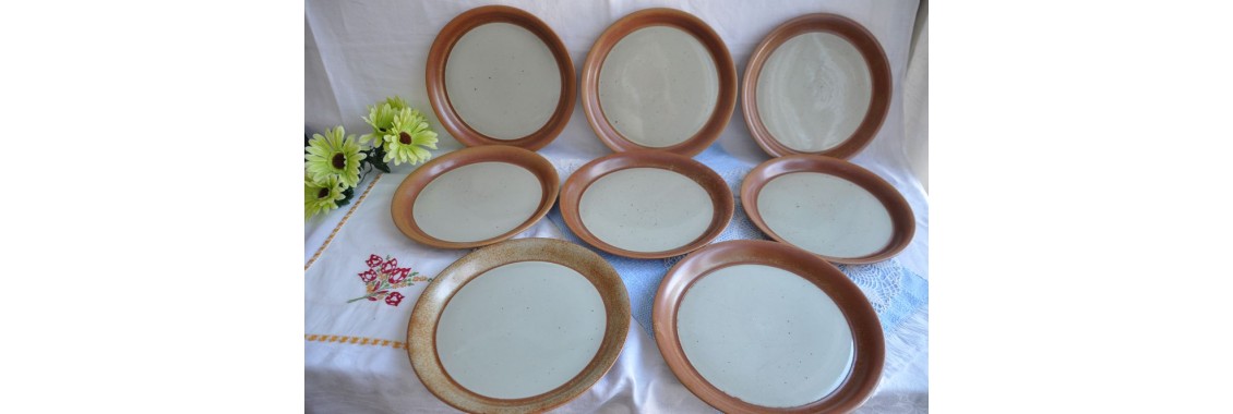 Largel Sial Stoneware Dinner Plates