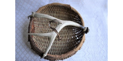 Native Style Basket With Deer Antler and Rawhide
